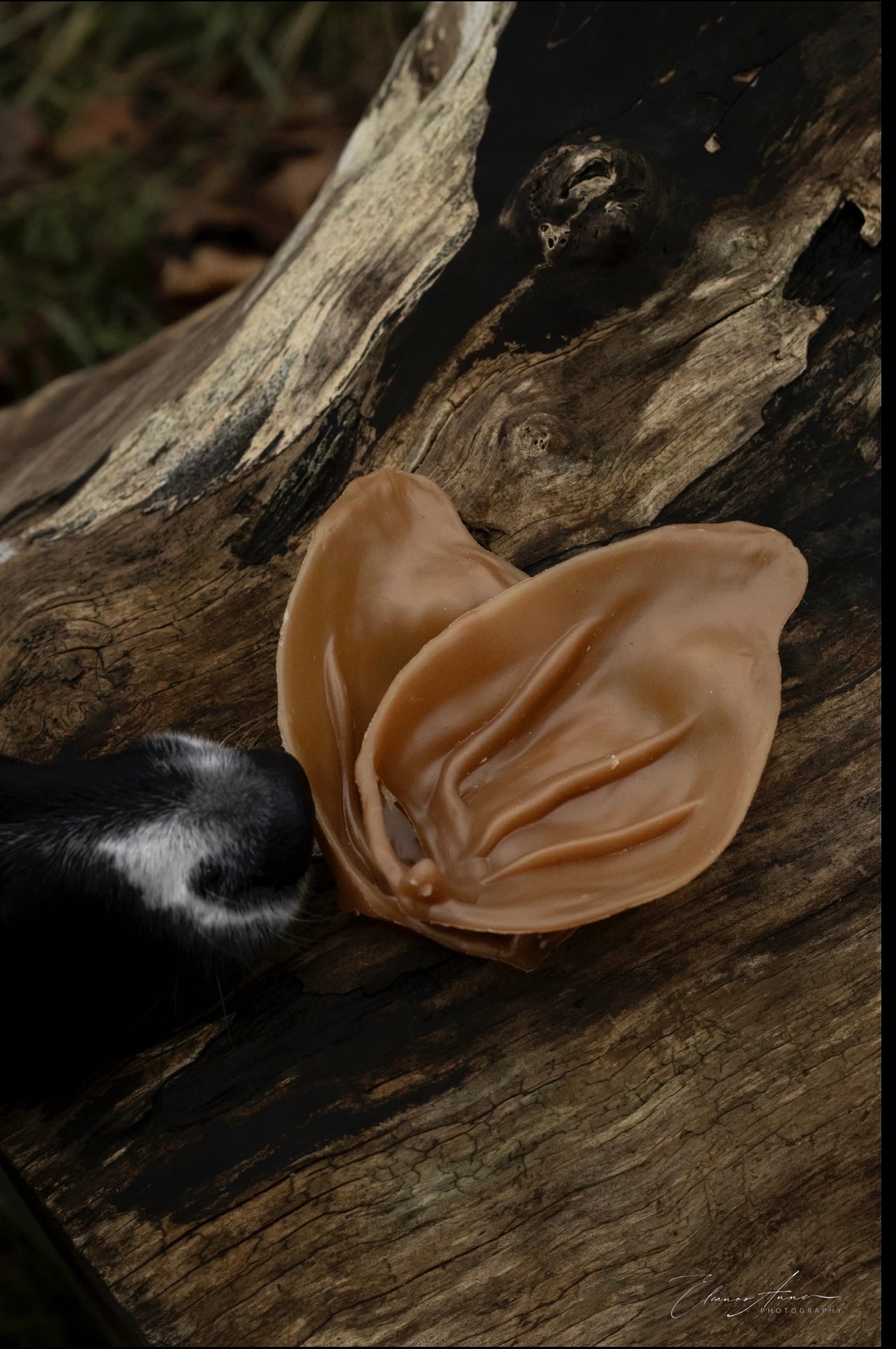 Veggie pigs ears (peanut butter)