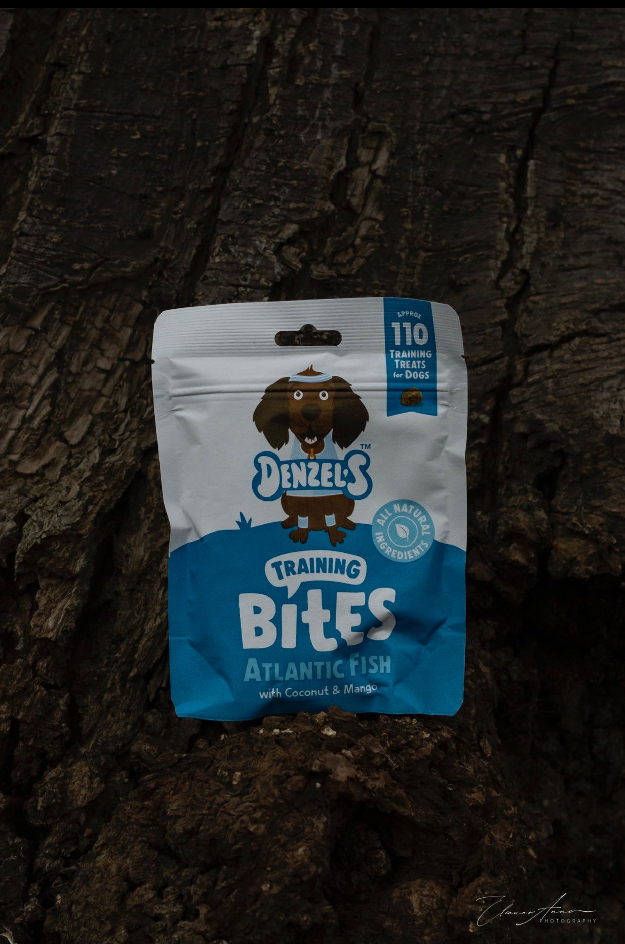 Denzel Atlantic fish bites