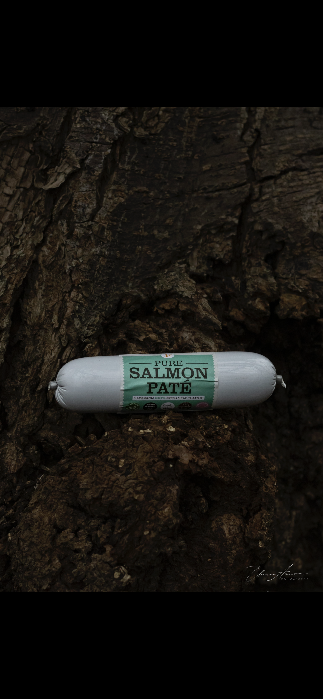 JR pate salmon