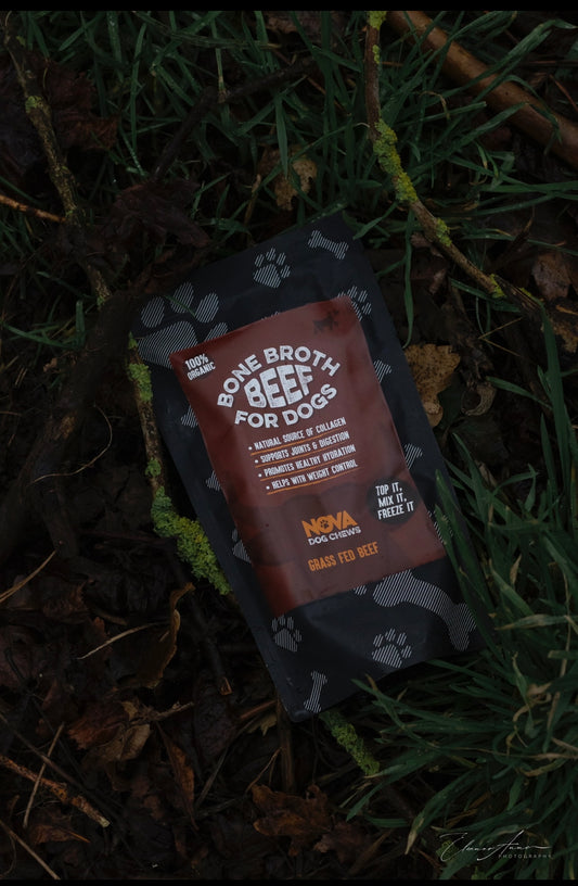 Bone broth (beef)