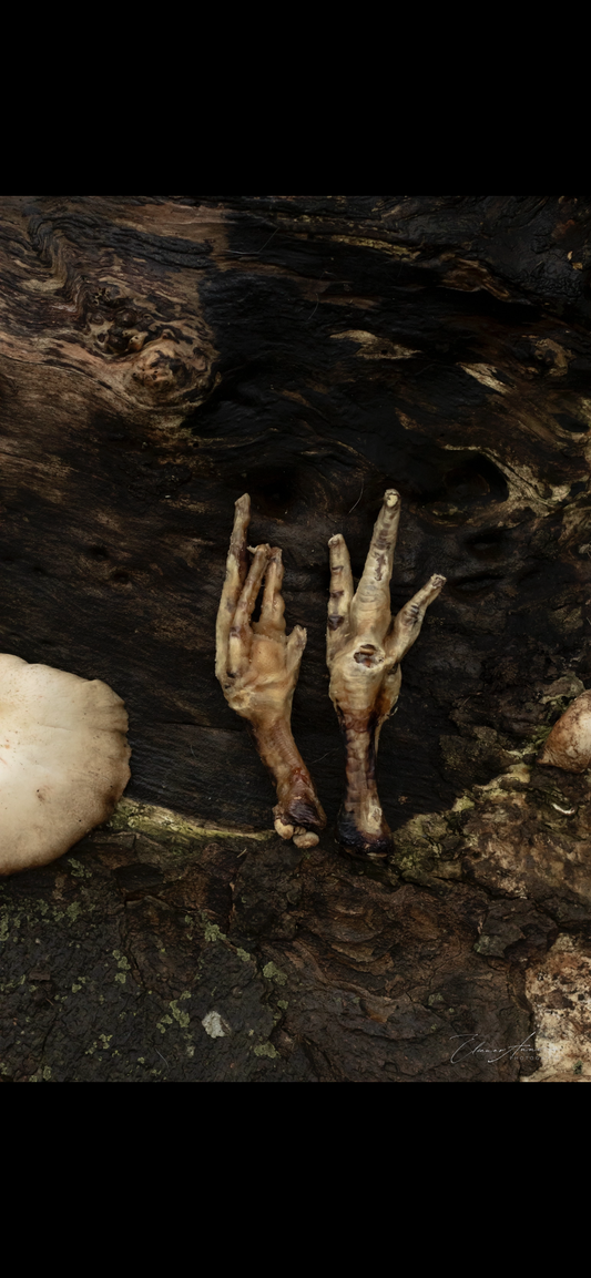 Chicken feet