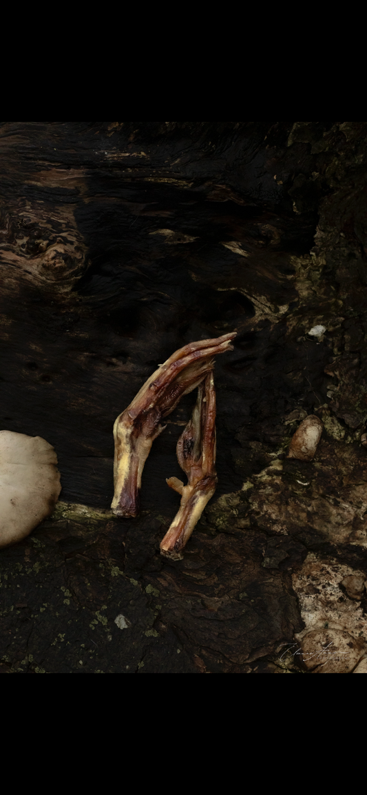 Duck feet
