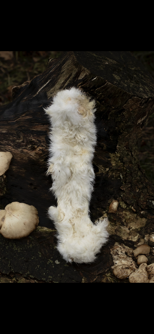 XL rabbit skin