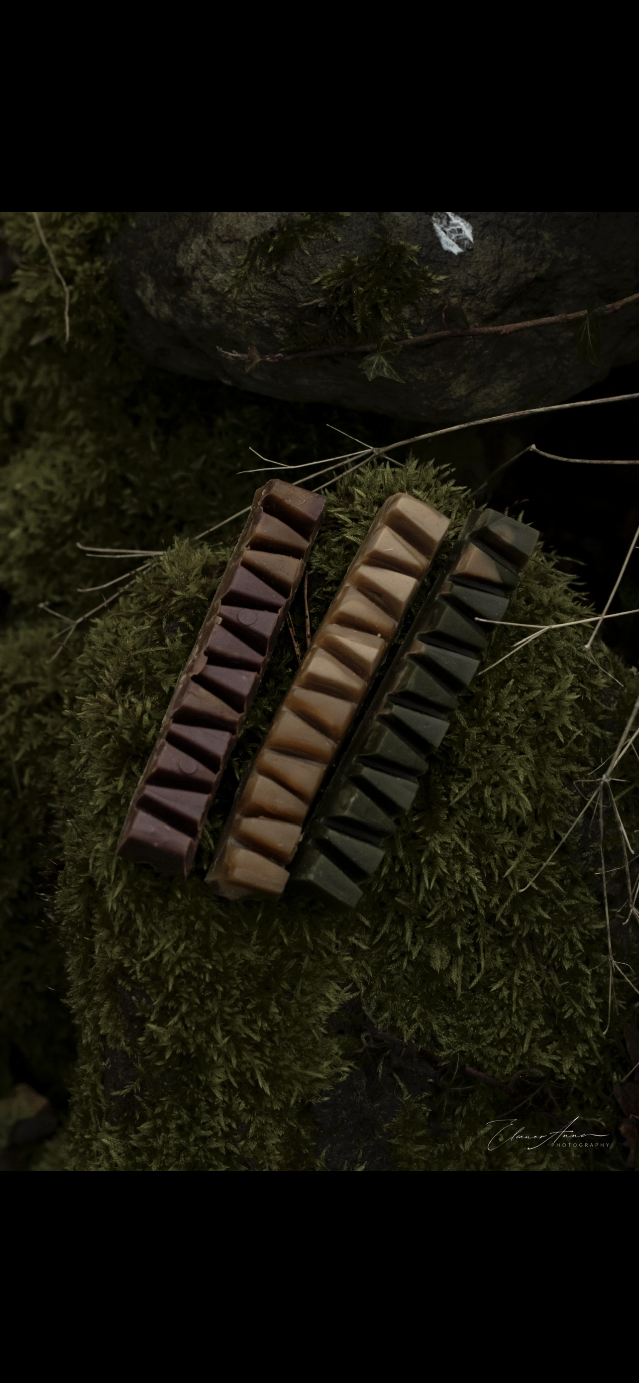 Veggie bars