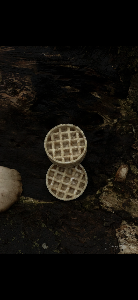 Collagen waffle