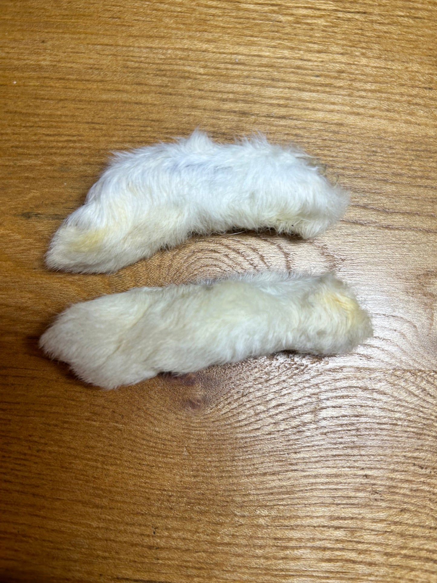 Hairy rabbit feet