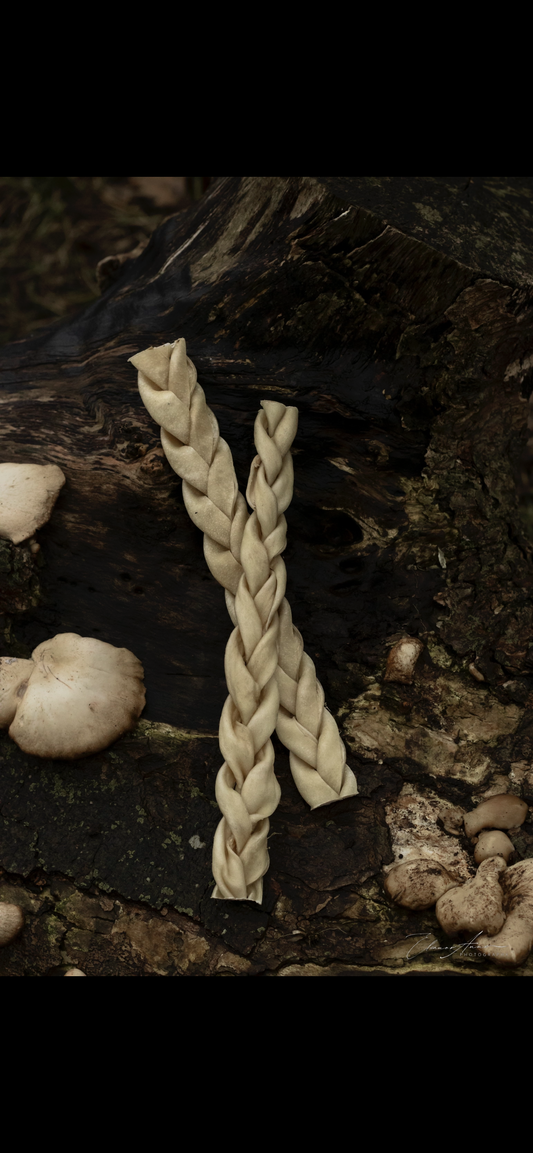 Large Lamb braids