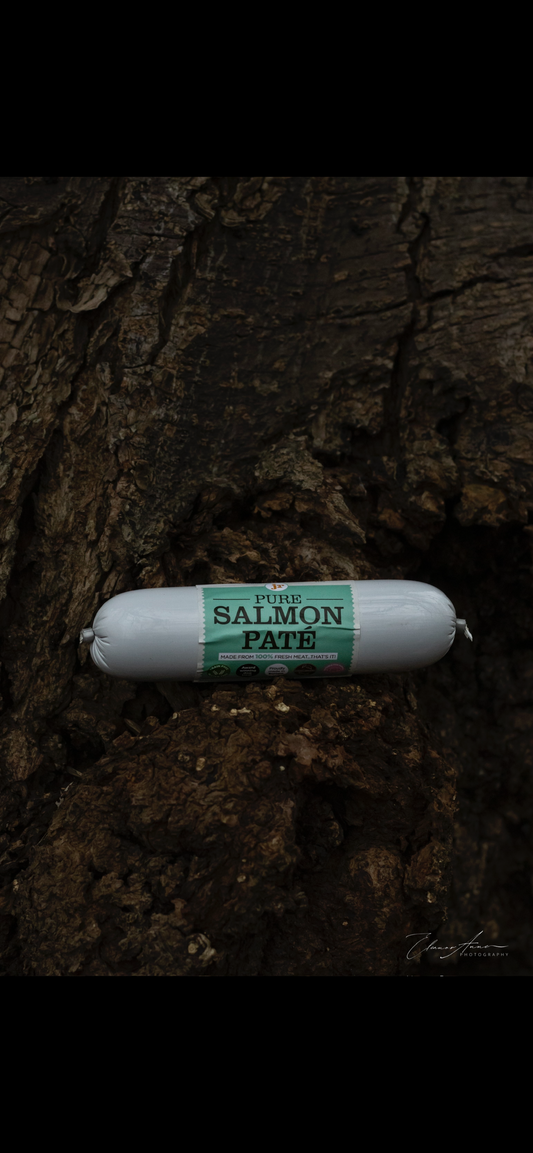 JR pate salmon