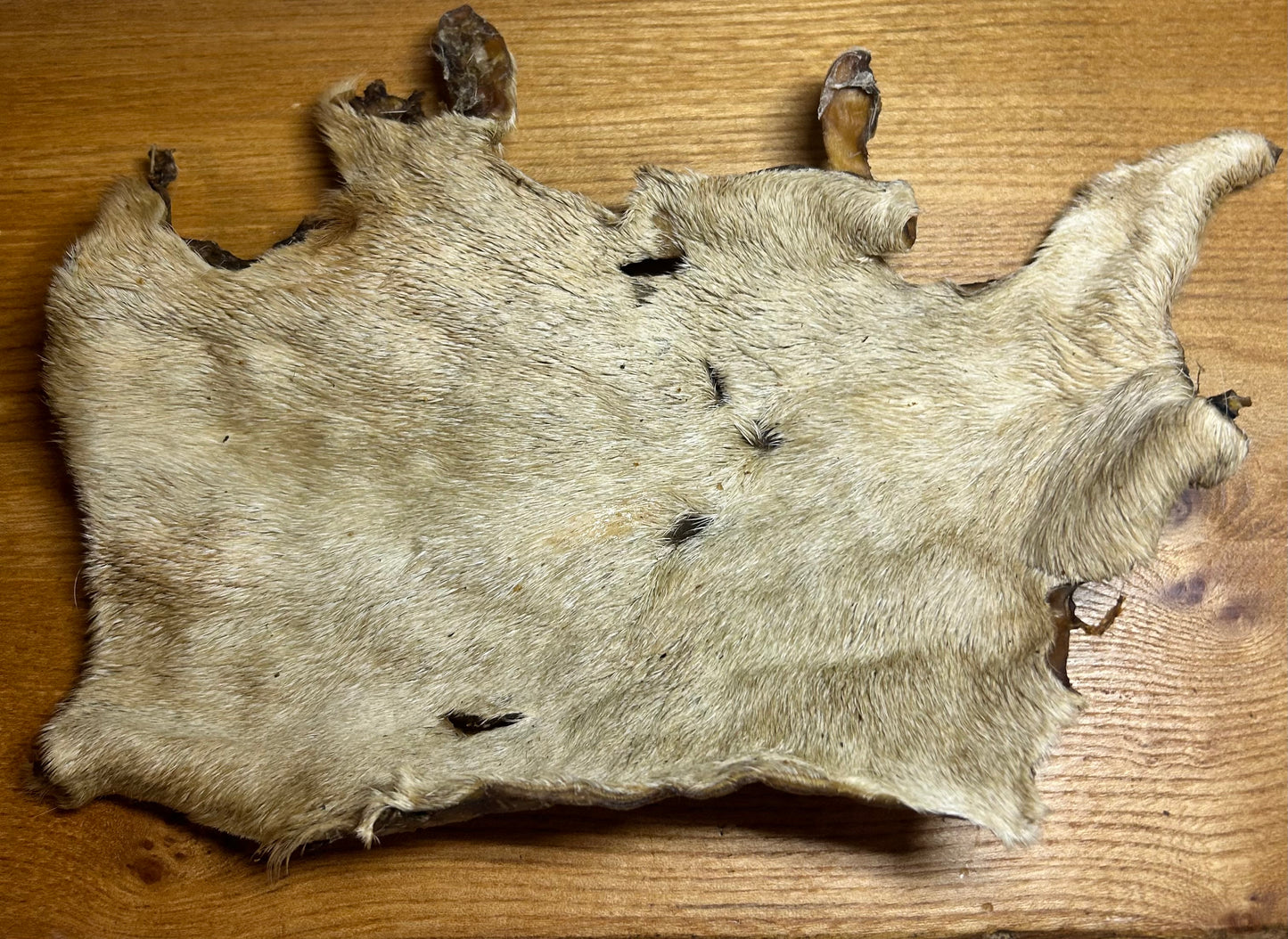 XL hairy beef skin
