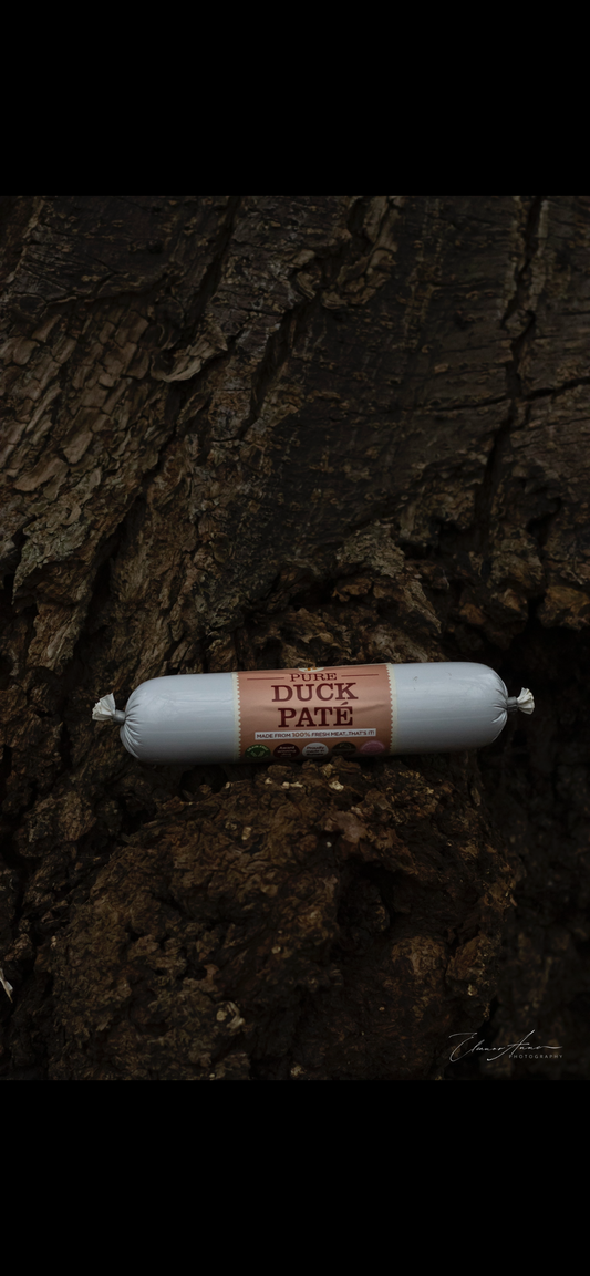 JR Pate duck