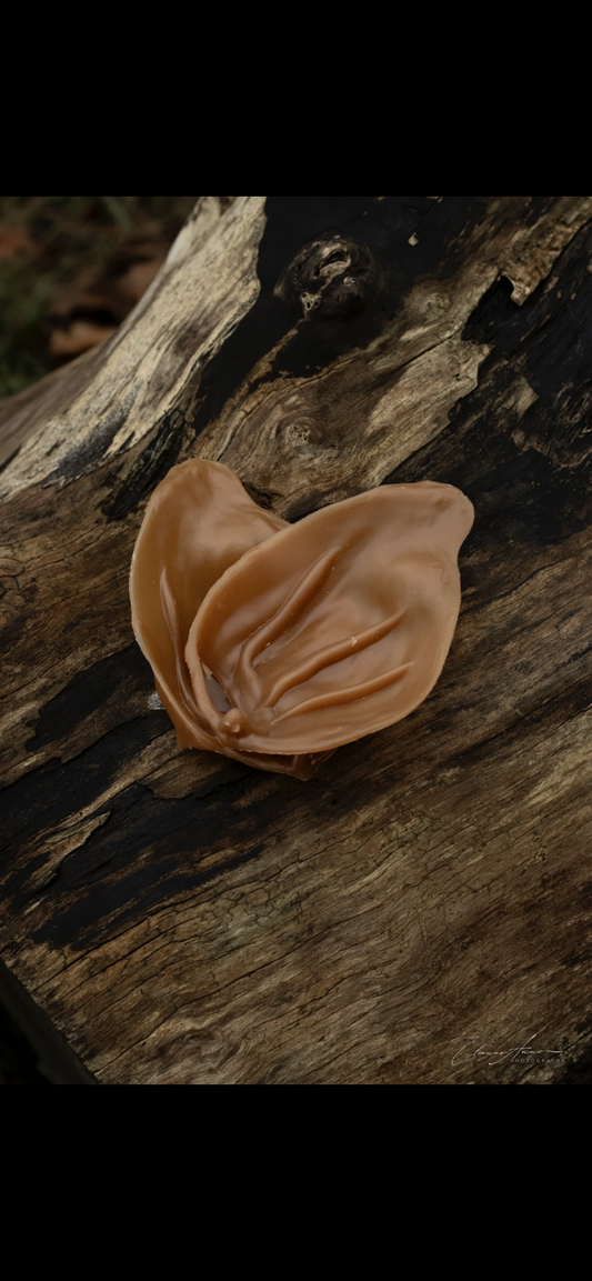 Veggie pigs ears (peanut butter)