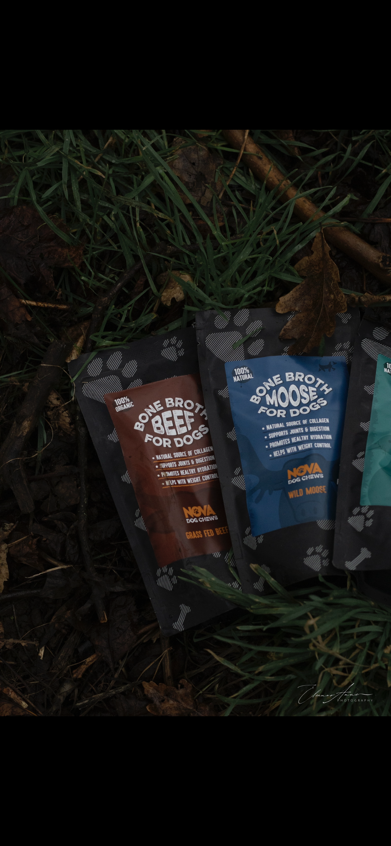 Bone broth (moose)