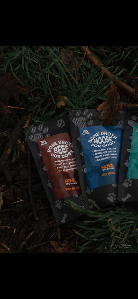 Bone broth (moose)