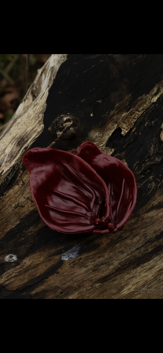 Veggie pigs ears (smoked flavour)