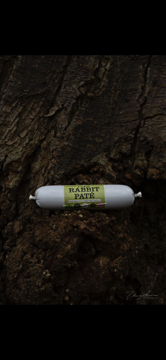 JR Pate rabbit